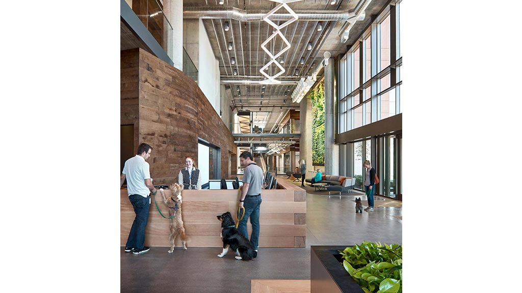 A group of people walking dogs.