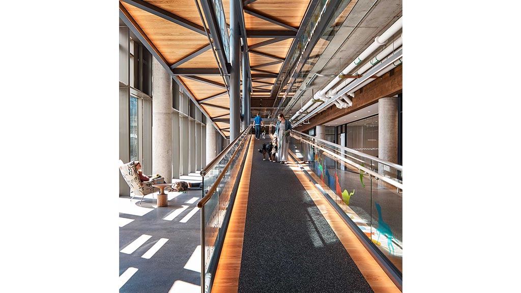 A group of people walking on a walkway between buildings.