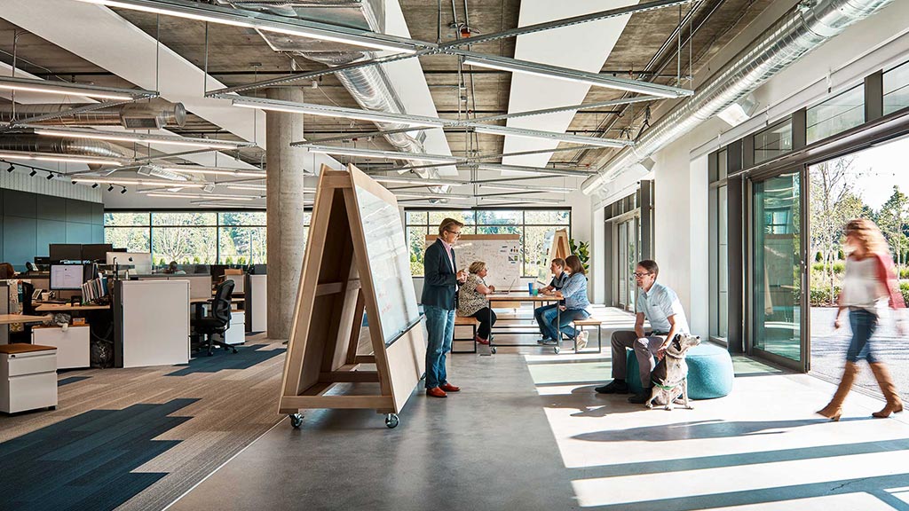 Petcube office