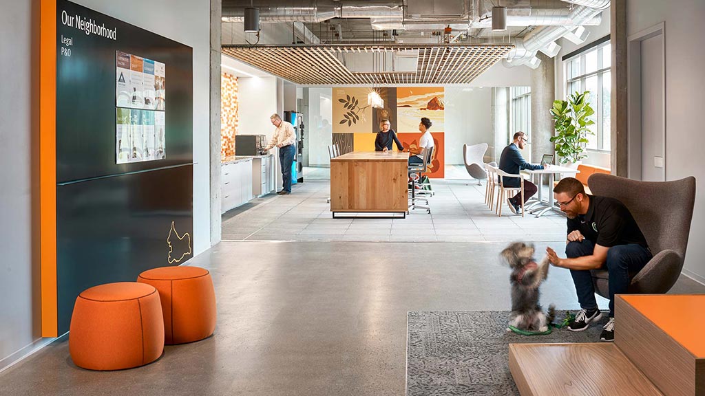 A person and a dog in a room with tables and chairs.