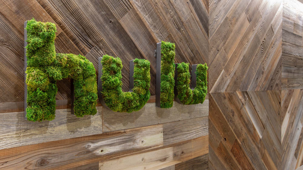 A group of green plants.