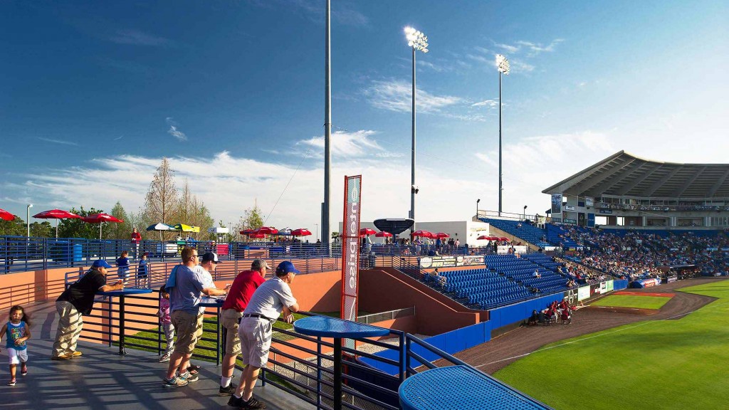 A group of people at a baseball game.