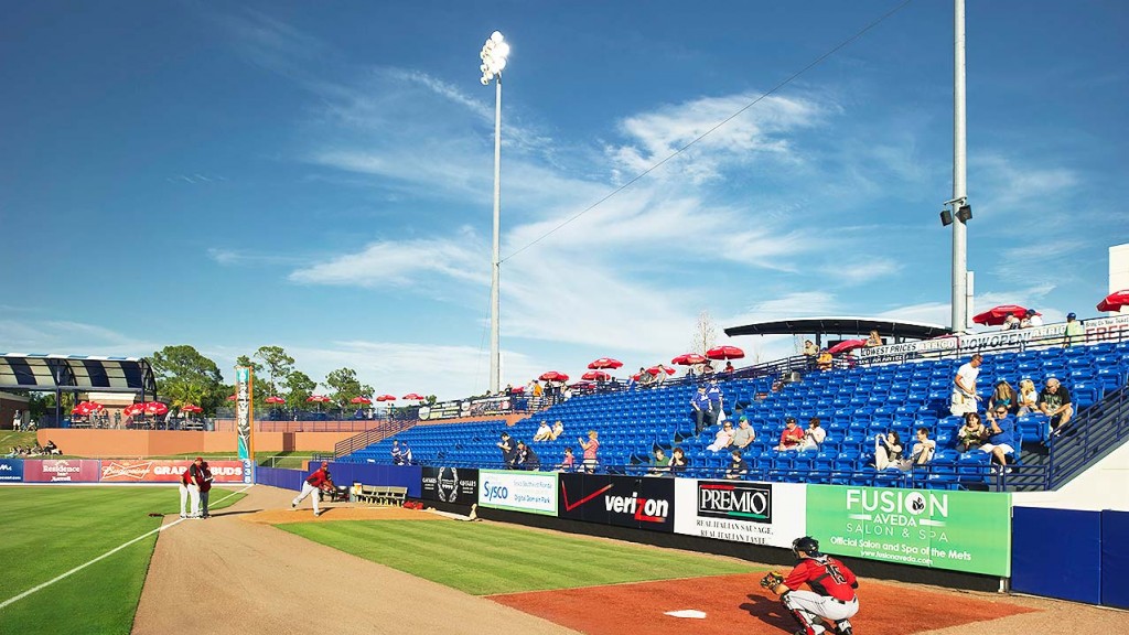 A baseball game in progress.