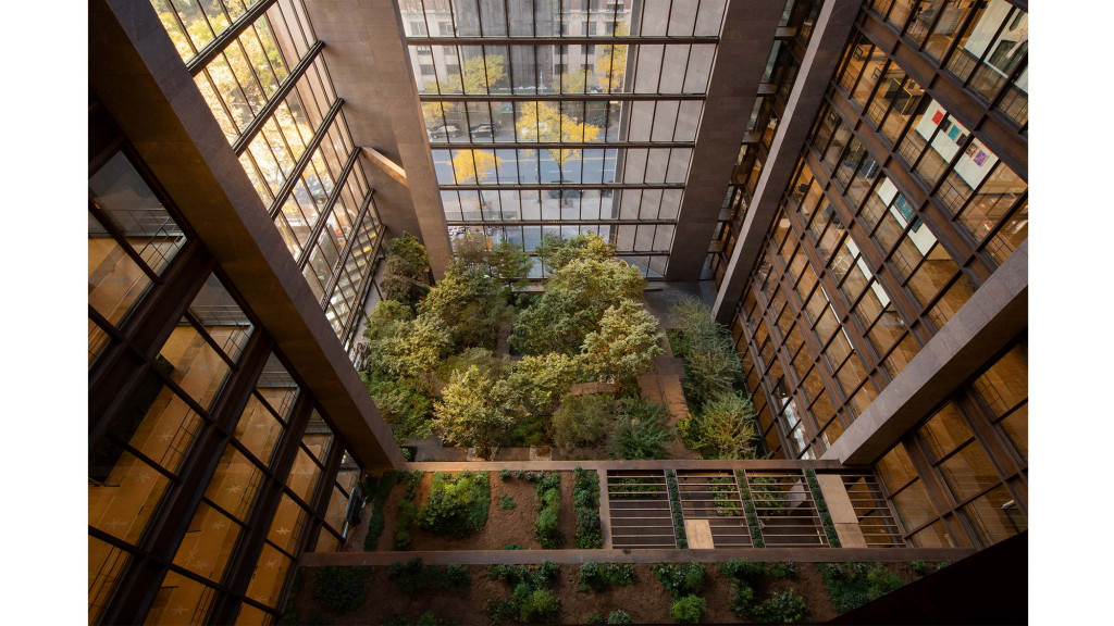 A view of a courtyard between two tall buildings.
