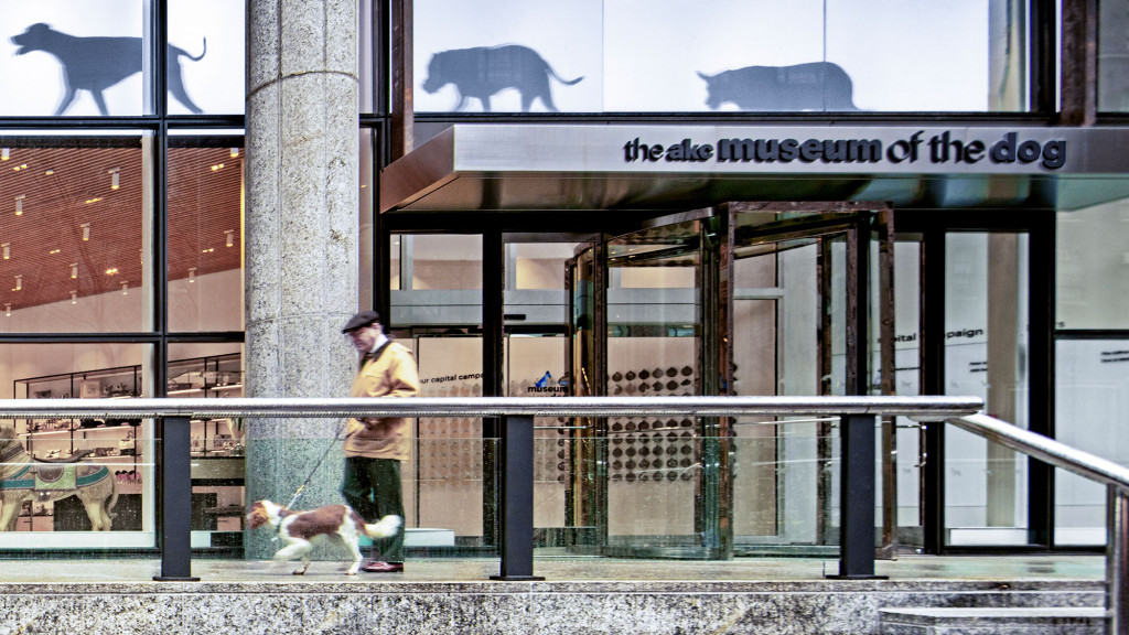 A person walking a dog.