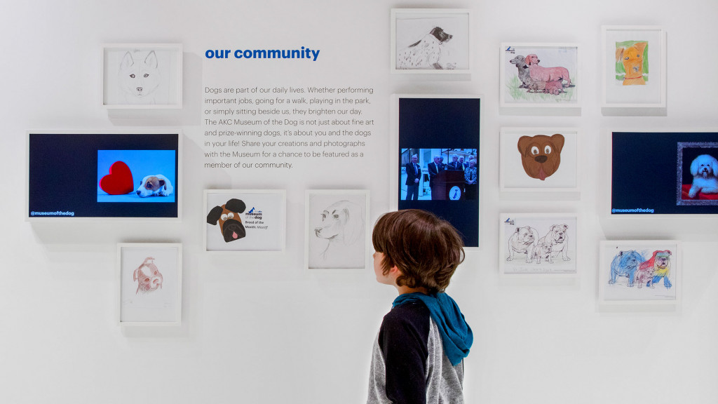 A person looking at a wall of pictures.