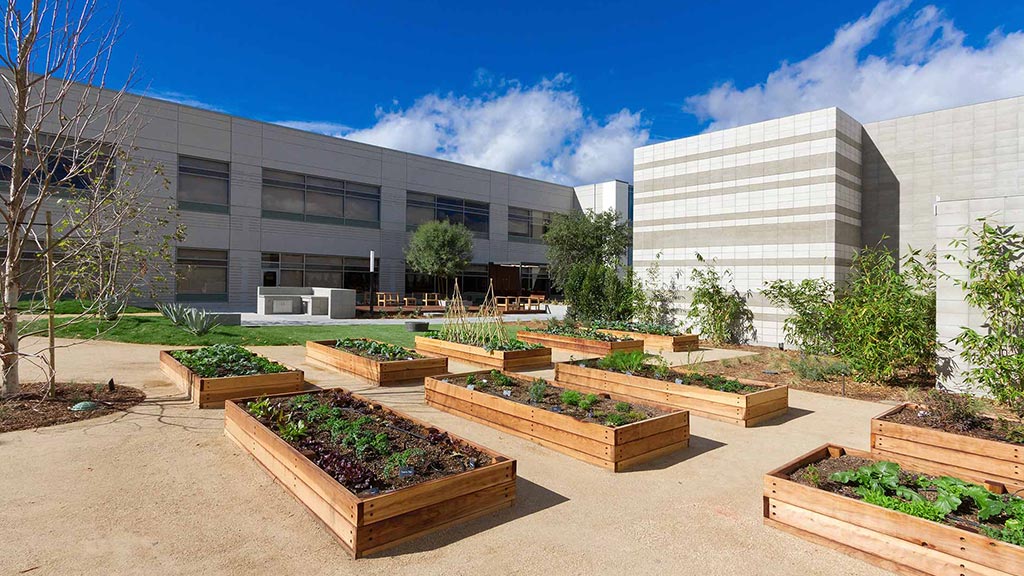 A courtyard with a building and trees.