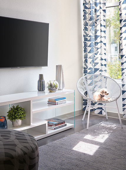 A dog sitting in a chair in front of a television.