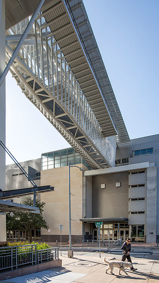 A person walking a dog.