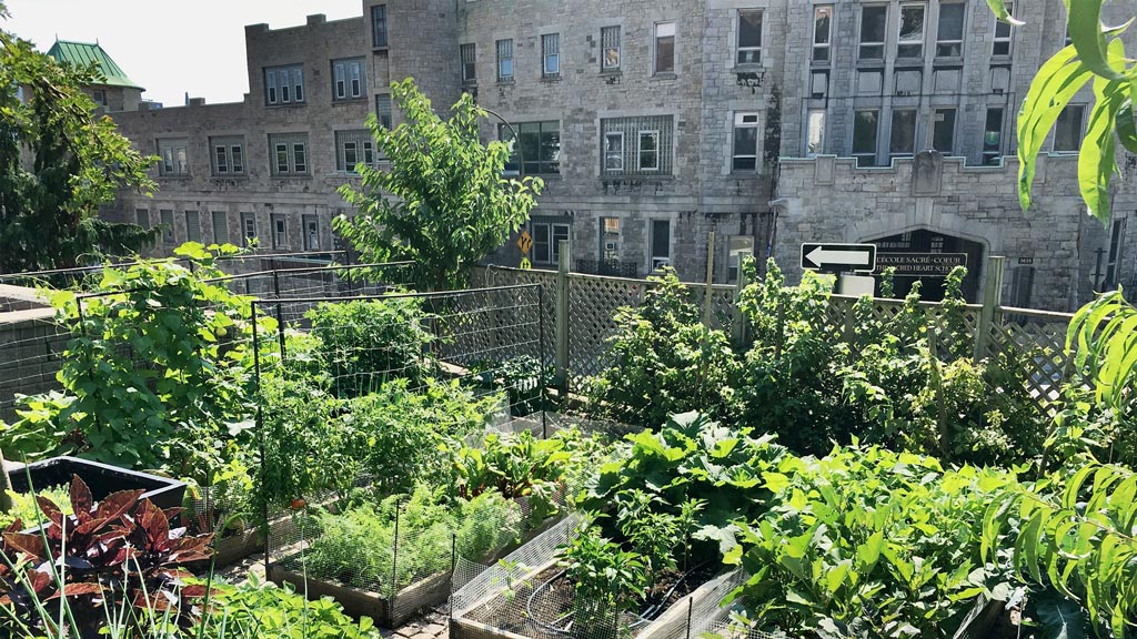 A garden in front of a building.