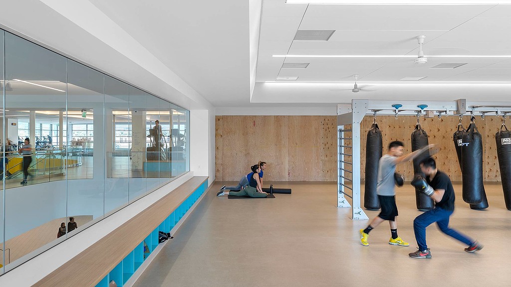 People in a room with a glass wall and a glass floor.