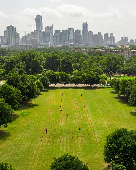A park with trees and a city in the background.