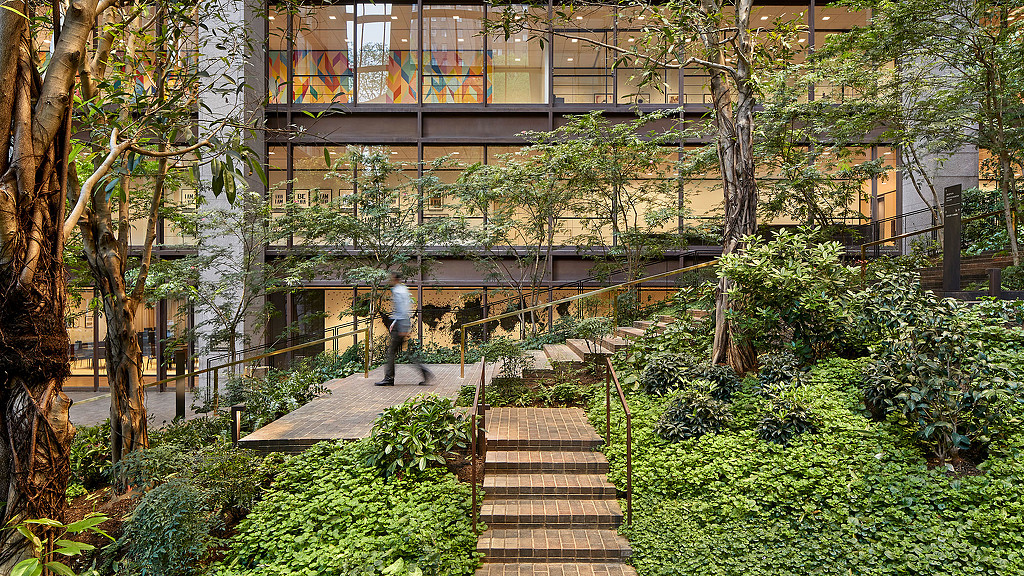 A person walking up a flight of stairs in a park.
