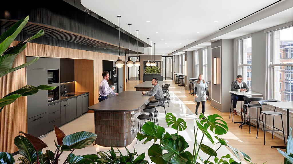 Morning Consult kitchen area with plants