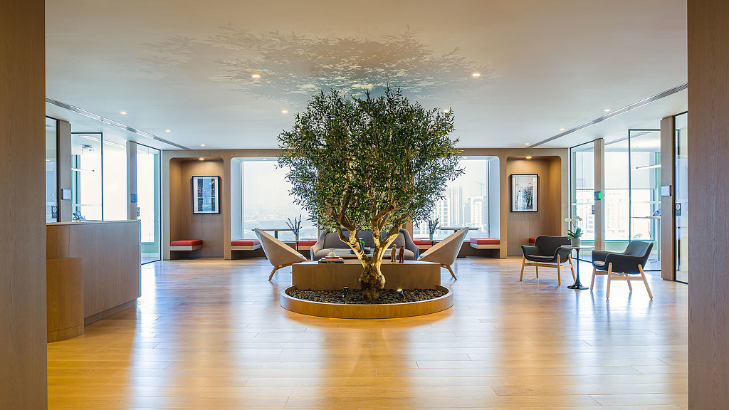 A large room with a tree in it.
