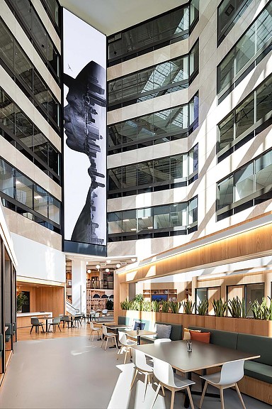 1420 Kettner & Ash office atrium with graphic art