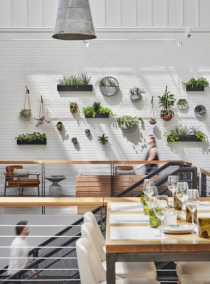 Sixty Vines at Assembly Food Hall upstairs wall plants