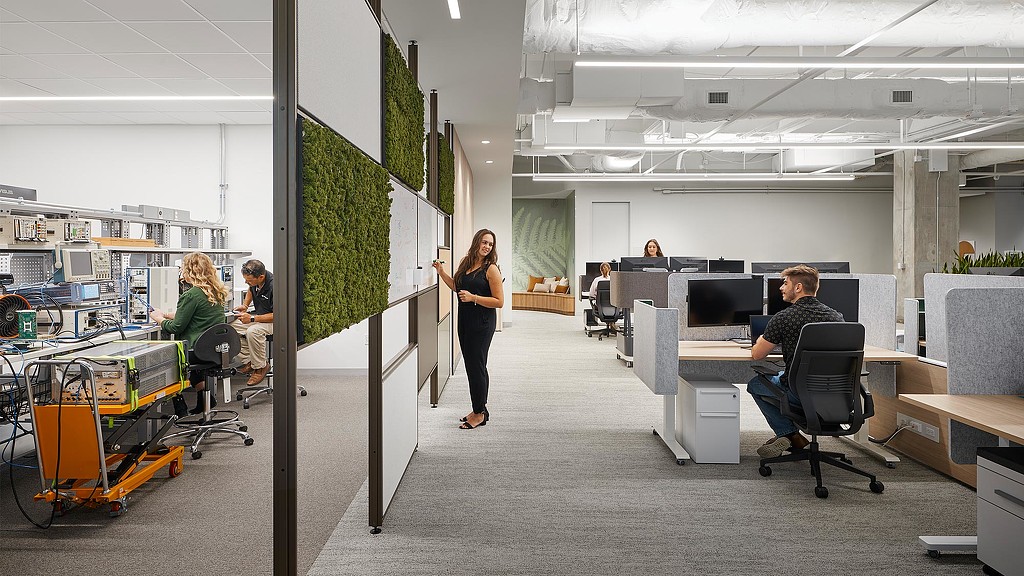 NI pilot workplace with Maars living wall partition