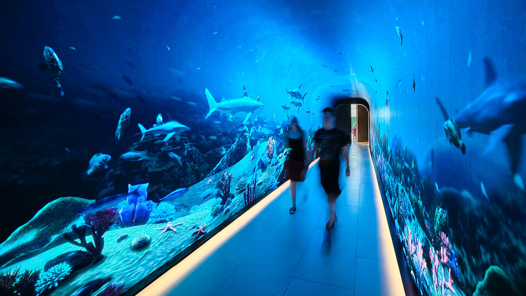 A man and woman walking through a fish tank.