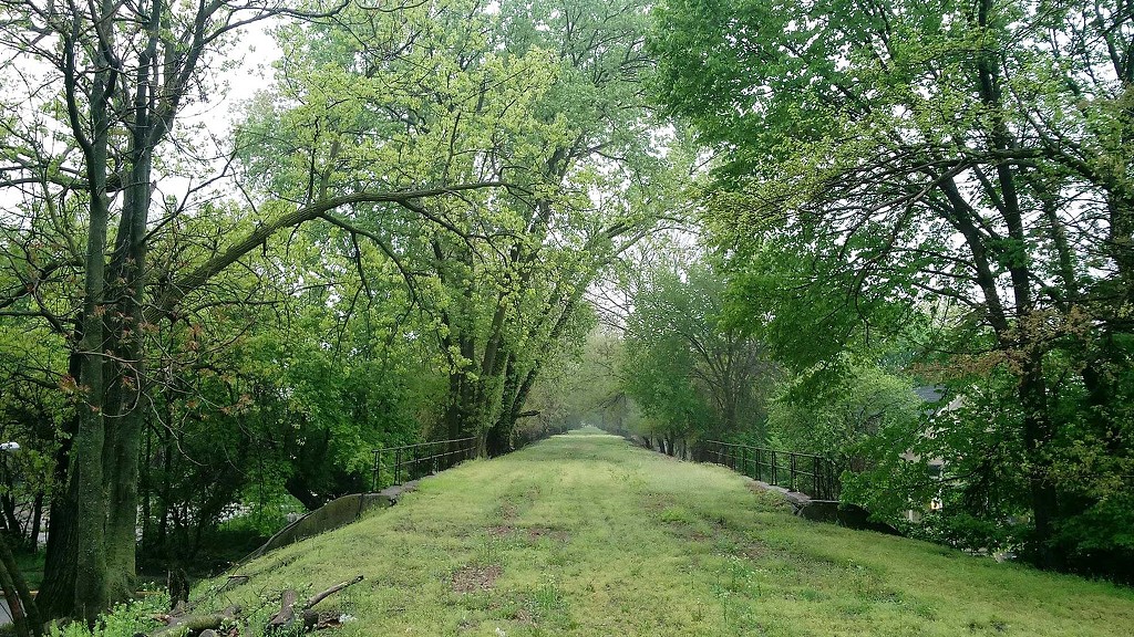 A path through a forest on the Englewood Line Redevelopment Trail