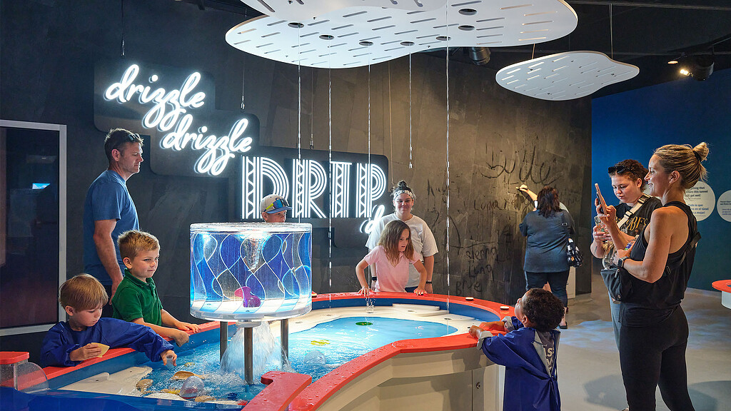 A group of people playing in a pool.