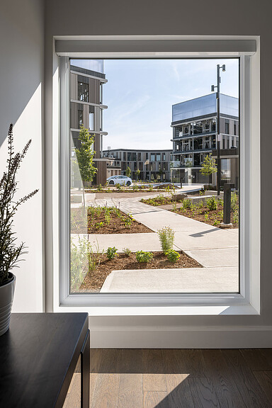 Electric Vehicle Enclave (EVE) Park window view