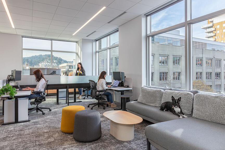 A group of people in an office.