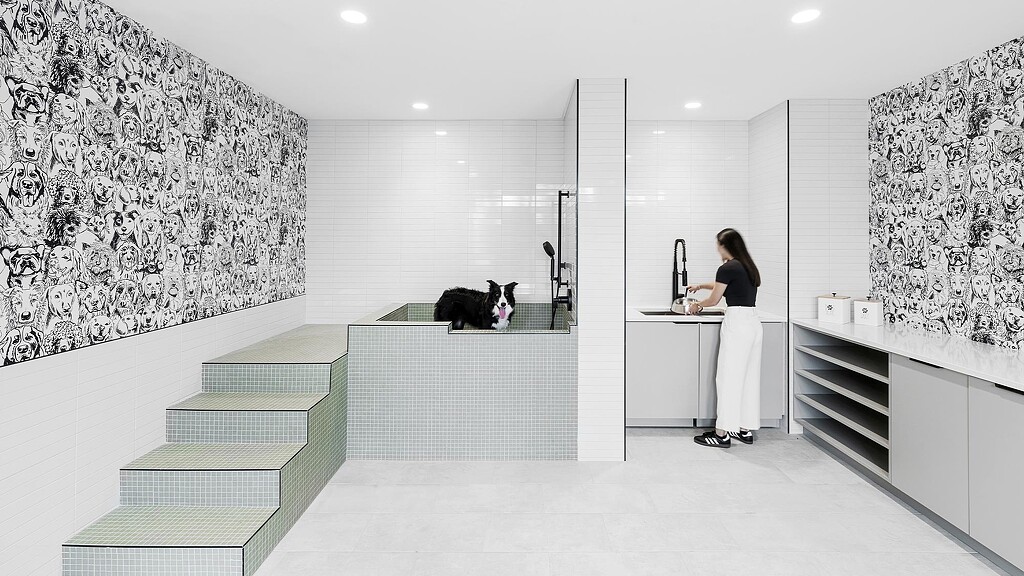 A person and a cat in a bathroom.