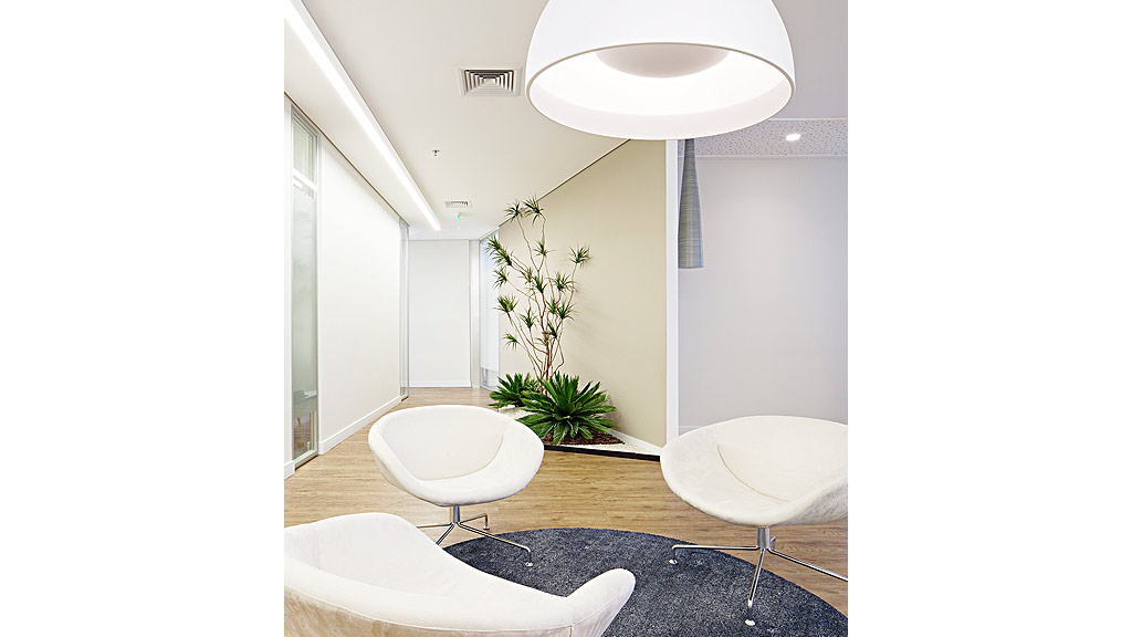 A room with white chairs and a plant in it.