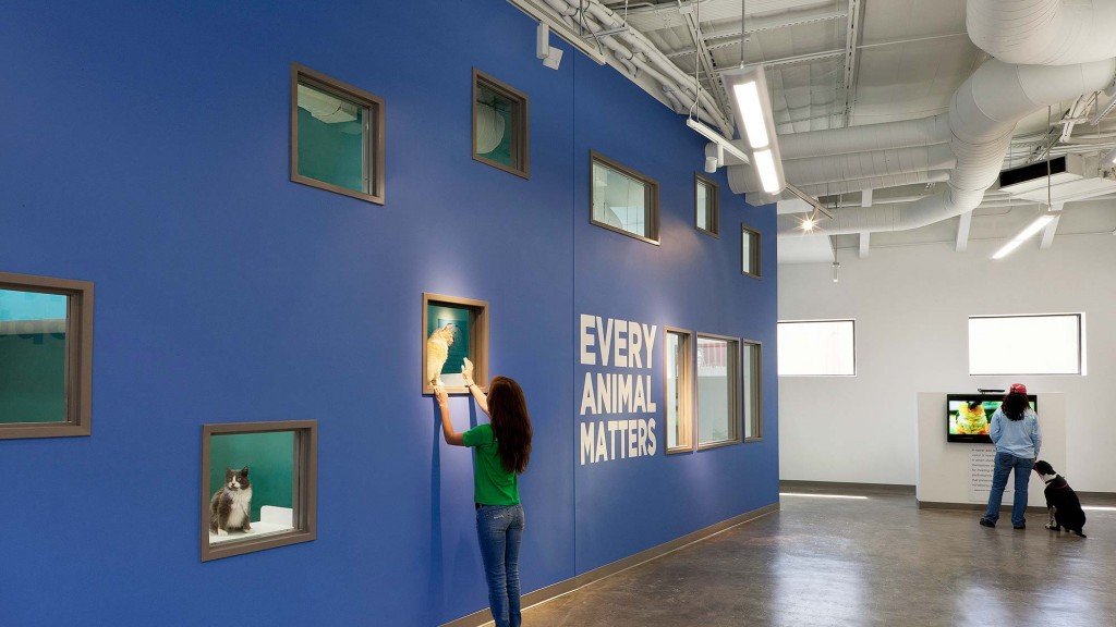 A person looking at a wall of art.