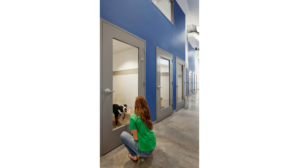 A person squatting down next to a dog in a hallway.