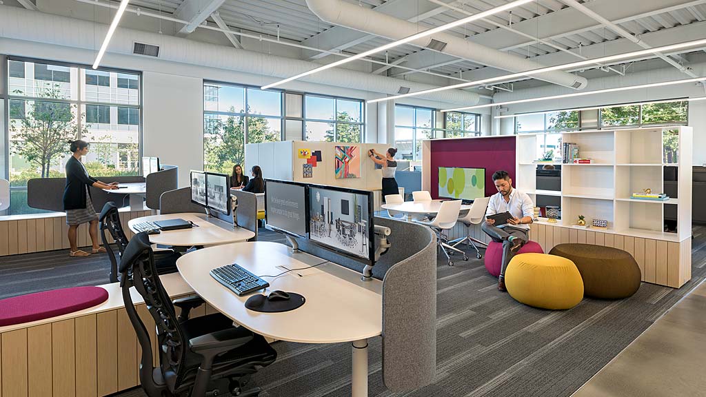 A group of people in an office.