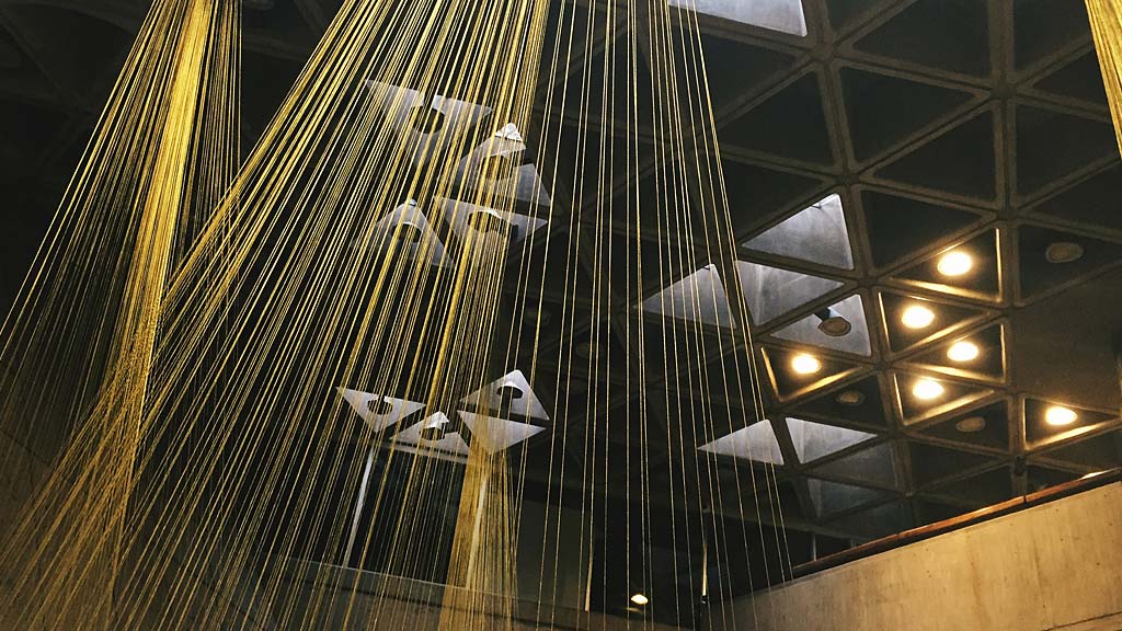 A group of birds in a cage.