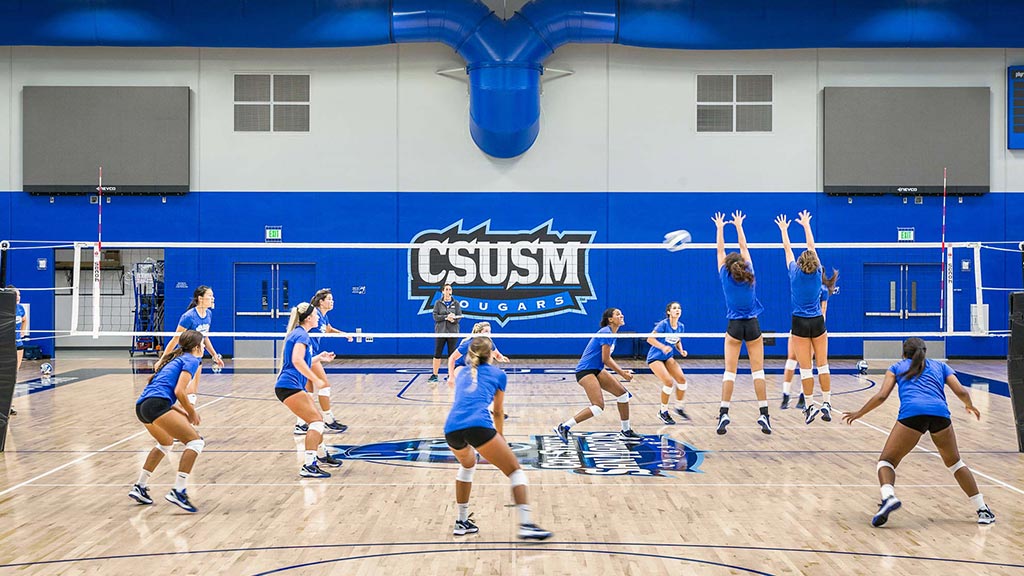 A group of women in a gym.