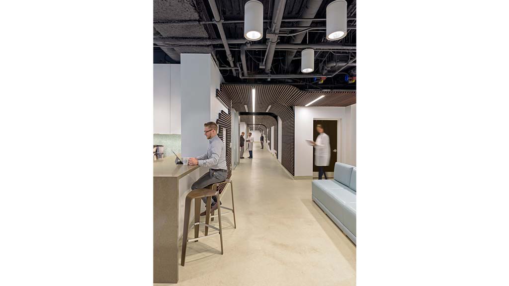 Moffitt Cancer Center Shared Resources Laboratories | Gensler