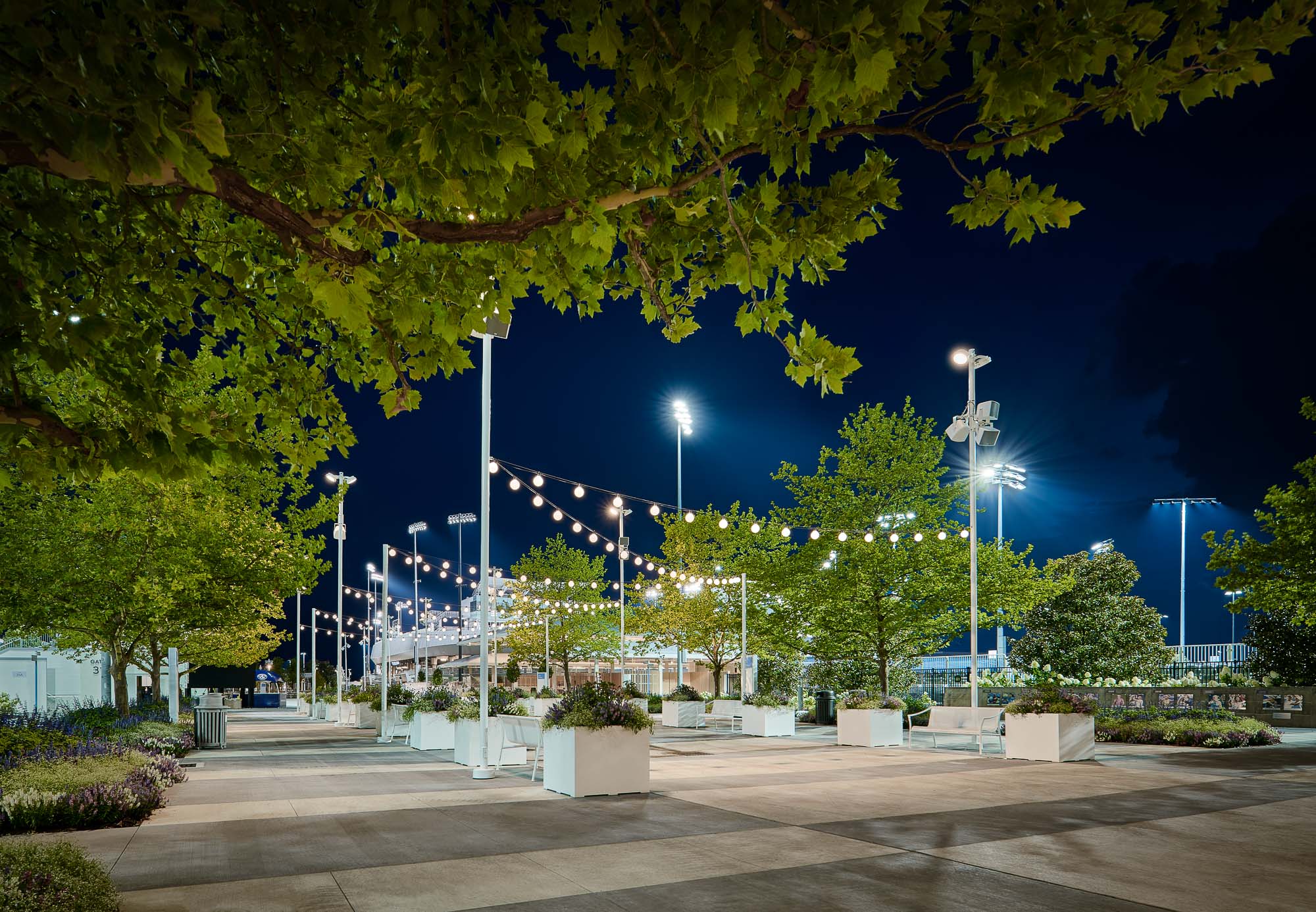 A park with trees and lights.