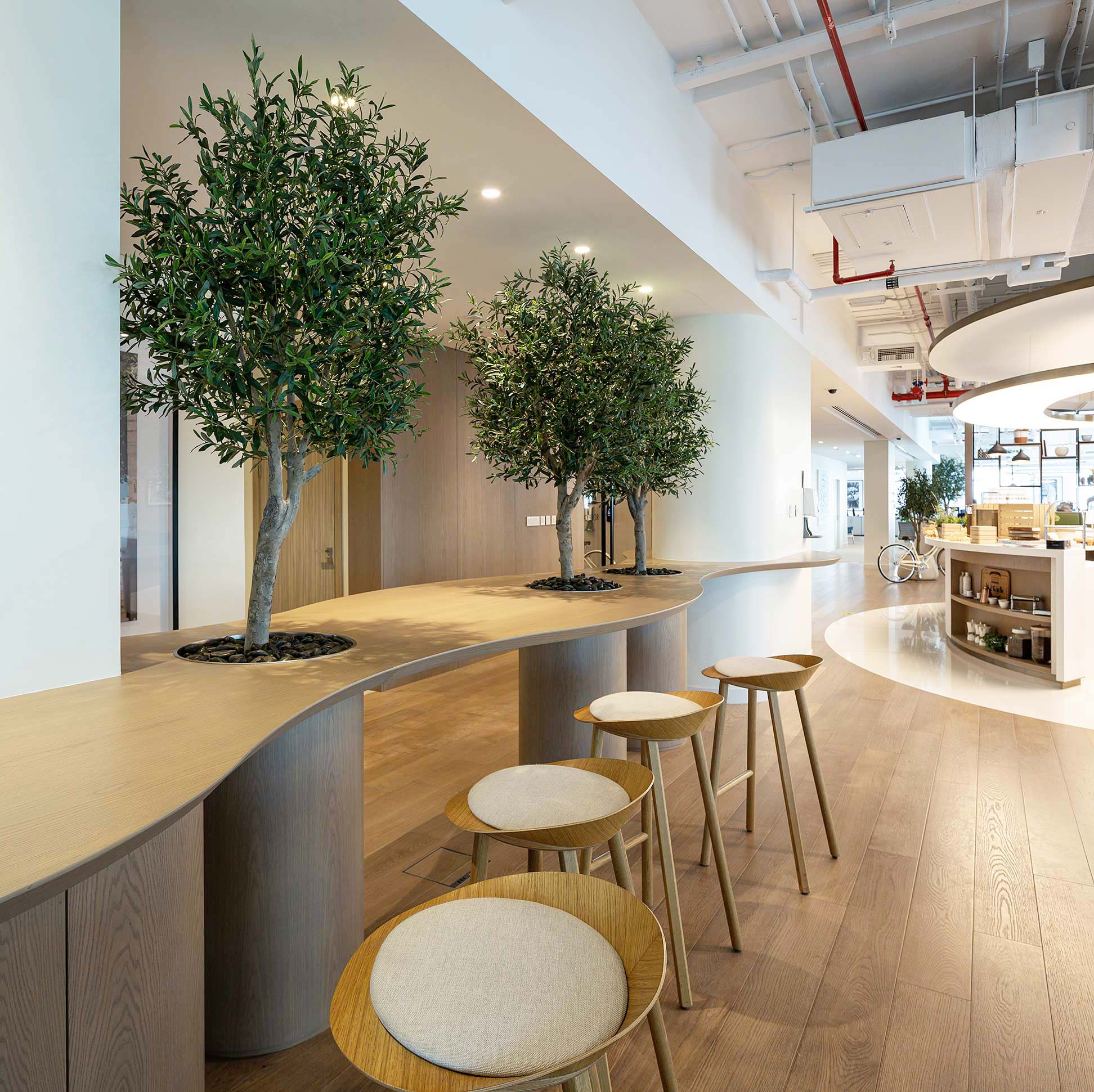 A room with stools and a tree.