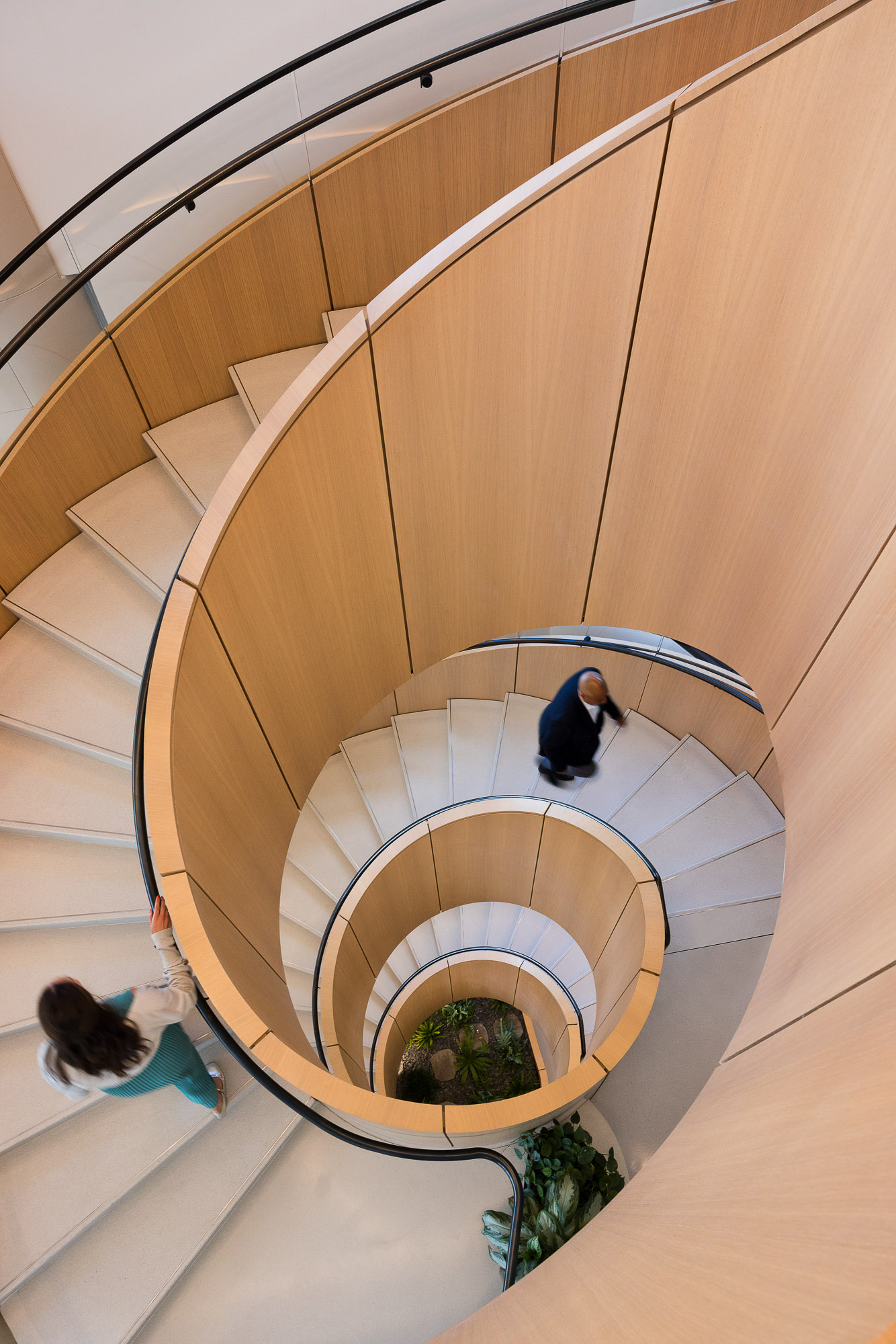 A man and woman on a spiral staircase.