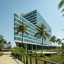 A building with palm trees and a walkway.