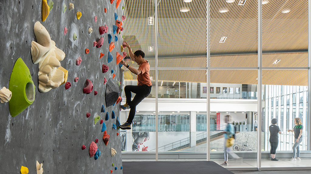 A person climbing a rock wall.