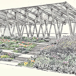 A greenhouse with flowers.