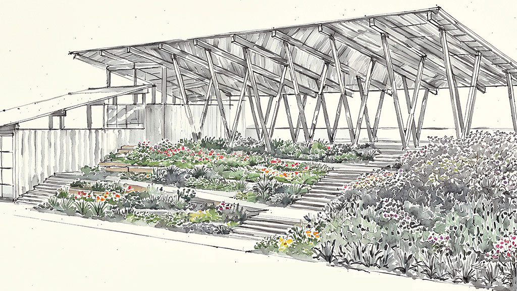 A greenhouse with many plants.