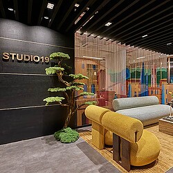 A room with a couch and a plant in it.