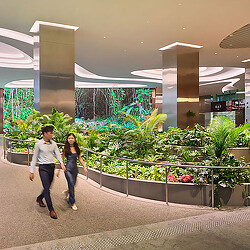 A man and woman walking.