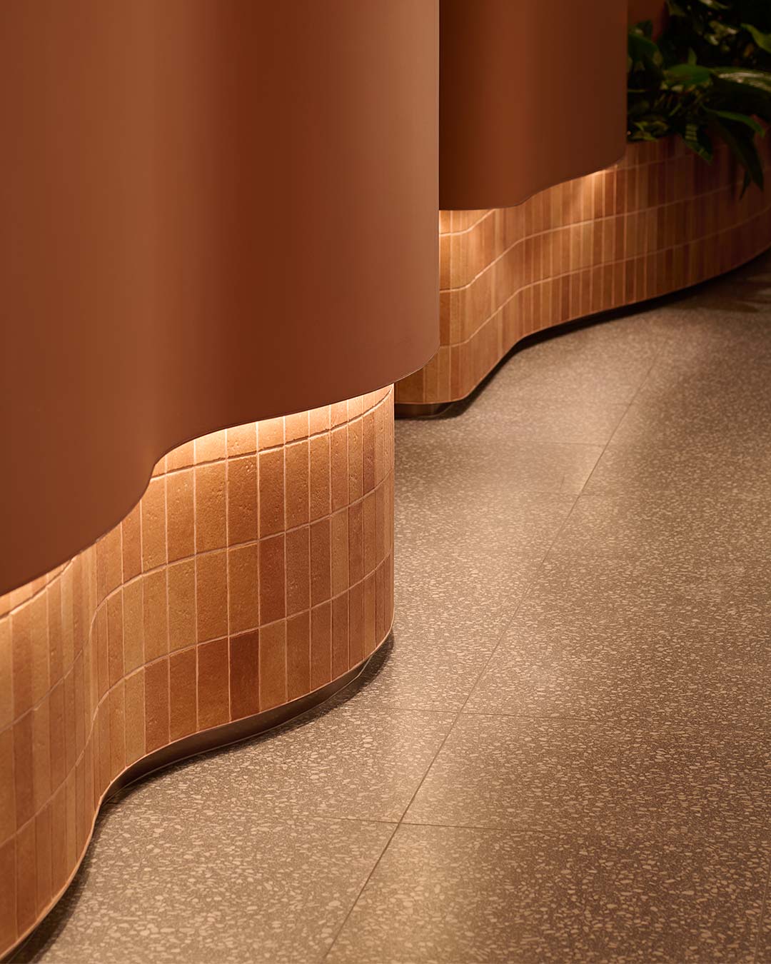 A carpeted hallway with a plant.