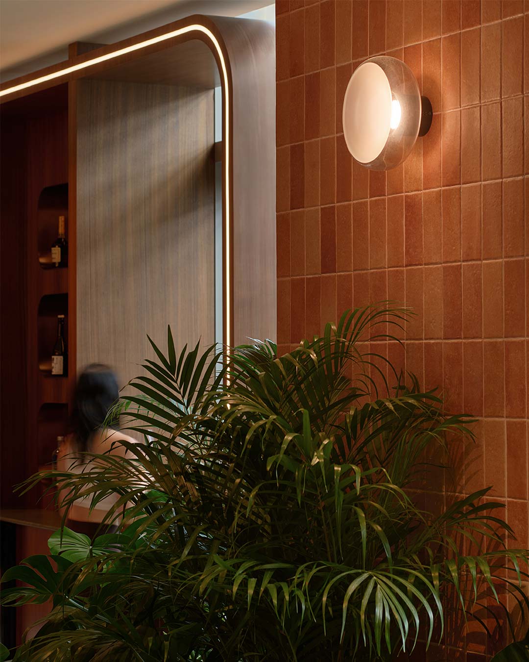 A plant in front of a mirror.
