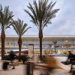 A group of palm trees in front of a building.