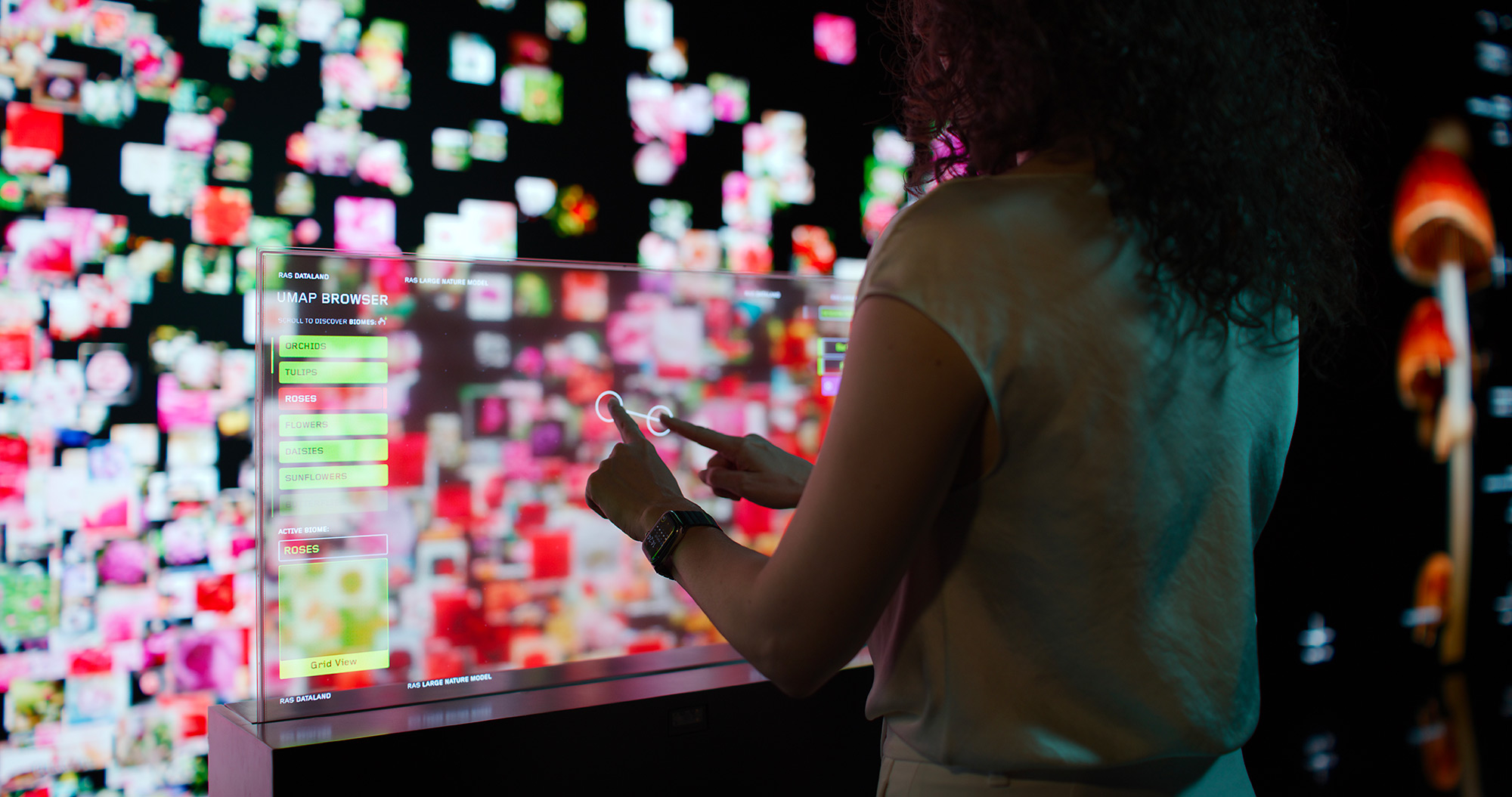 A man looking at a display.
