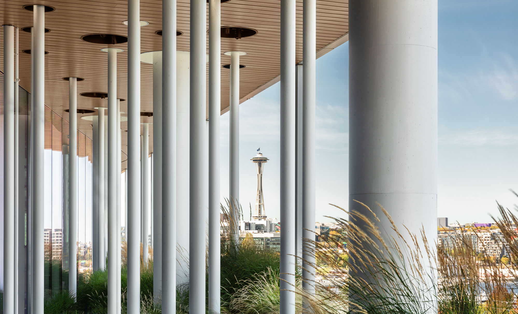 A building with pillars.