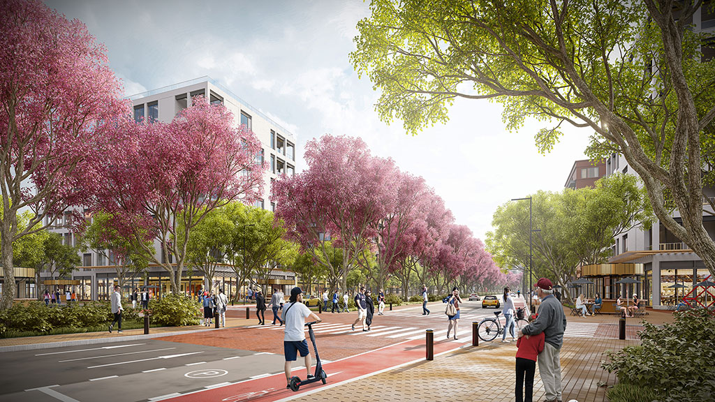People walking on a street with pink trees on either side of it.